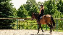 Dovolená s koňmi - lekce jízdy na koni pro dospělé